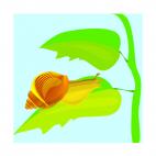 Snail on a leaf, decals stickers