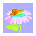 Snail on a flower, decals stickers