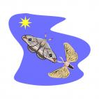 Moths, decals stickers