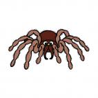 Tarantula, decals stickers