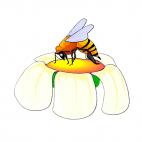 Bee haversting pollen, decals stickers