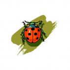 Ladybug, decals stickers