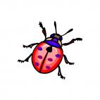 Ladybug , decals stickers