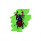 Scarab, decals stickers