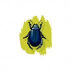 Scarab, decals stickers