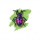 Scarab, decals stickers