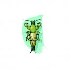 Katydid, decals stickers