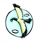 Bird flying, decals stickers