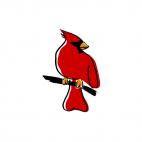 Cardinal on a twig, decals stickers