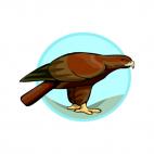 Golden eagle, decals stickers