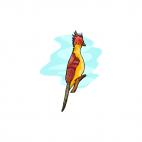 Hoatzin, decals stickers