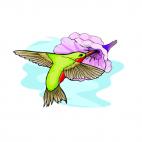 Hummingbird drinking pollen, decals stickers