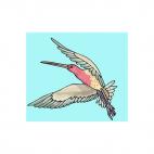 Hummingbird, decals stickers