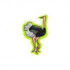 Ostrich, decals stickers