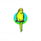 Lovebird on a twig, decals stickers
