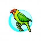 Parrot on a twig, decals stickers