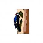 Wood pecker, decals stickers