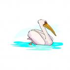 Pelican swimming, decals stickers