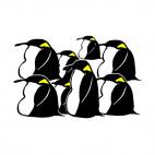 Penguins, decals stickers