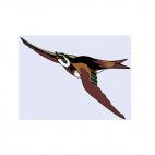 Progne flying, decals stickers