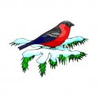 Red bird, decals stickers