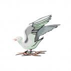 Seagull protecting eggs, decals stickers