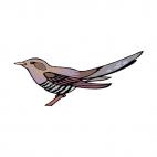 Sparrow , decals stickers
