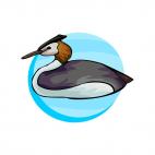 Tippet grebe, decals stickers