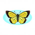 Butterfly, decals stickers