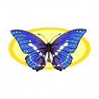 Butterfly, decals stickers