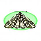 Moth, decals stickers