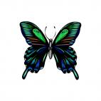 Butterfly, decals stickers