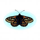 Butterfly, decals stickers