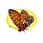 Butterfly, decals stickers