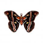 Moth, decals stickers
