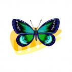 Butterfly, decals stickers