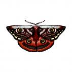 Moth, decals stickers