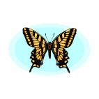 Butterfly, decals stickers