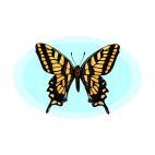 Butterfly, decals stickers