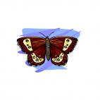 Moth, decals stickers