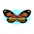 Butterfly, decals stickers