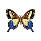 Butterfly, decals stickers