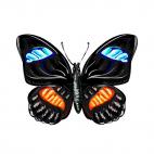 Butterfly, decals stickers