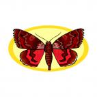 Moth, decals stickers