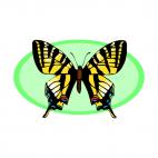 Butterfly, decals stickers