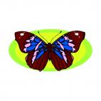 Butterfly, decals stickers