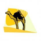 Camel, decals stickers