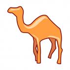 Camel silhouette, decals stickers