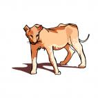 Lion, decals stickers