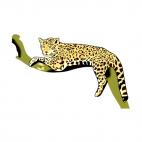 Jaguar laying down on a branch, decals stickers